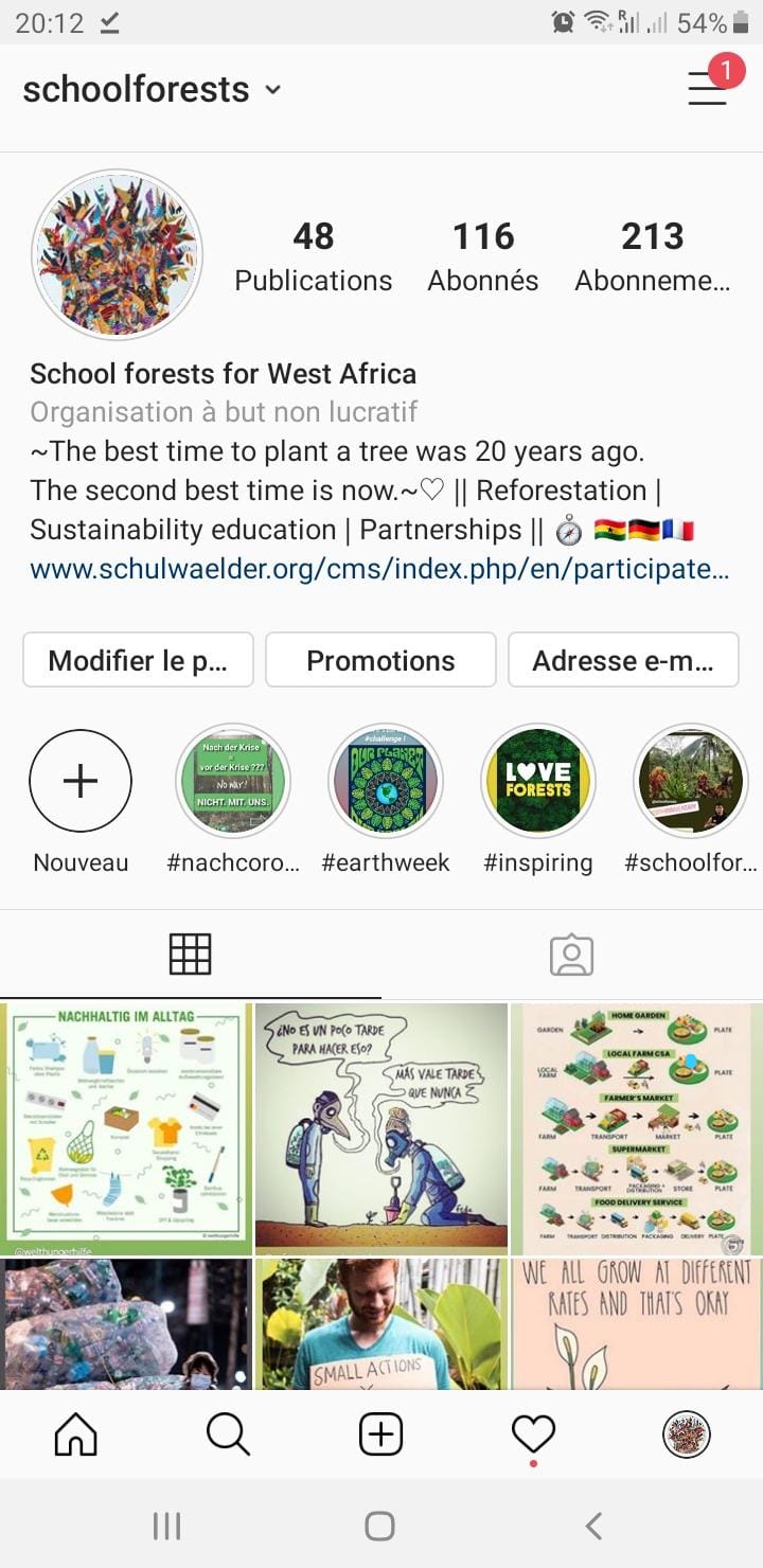 schoolforests instagram